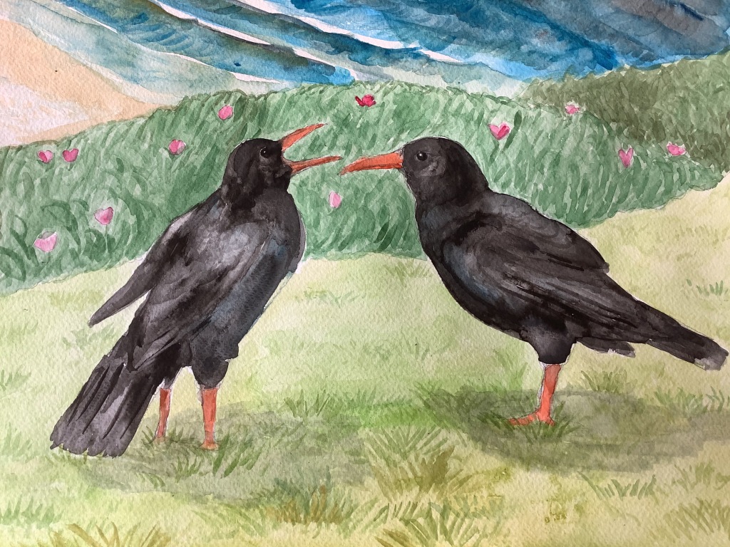 A watercolour painting of two choughs, medium sized black birds with long curved red-orange beaks and legs of the same colour. One chough has its beak open. They are standing on grass next to some shrubs and overlooking the beach and sea.